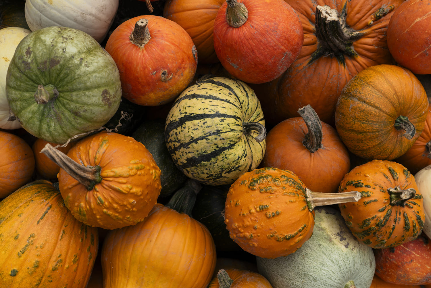 ¿Qué nos está pasando con el ‘pumpkin spice latte’? Por qué la calabaza protagoniza el otoño gastronómico (más allá de la bebida viral)